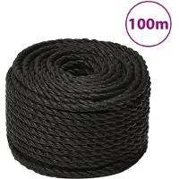 vidaXL Werktouw 10 mm 100 m polypropeen zwart
