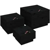 vidaXL Opbergboxen met deksels 3 st massief grenenhout zwart