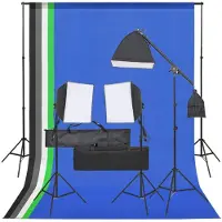 vidaXL Fotostudioset met verlichtingsset en achtergrond