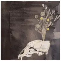Konkurrent Steve Gunn & Black Twig Pickers - Seasonal Hire (CD)