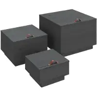 vidaXL Opbergboxen met deksels 3 st massief grenenhout grijs