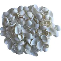Rayher Hobby 3x zakjes decoratie hobby schelpen parelmoer/wit 250 gram - Hobbydecoratieobject