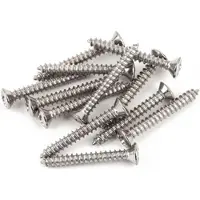 Fender 21422049 Chromen Brugmontageschroeven - Set van 12