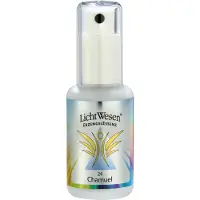 Lichtwesen Chamuel tinctuur 24 30 ml