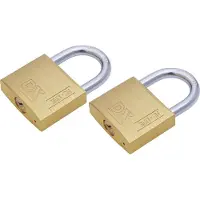 Dulimex Hangslot met 2 sleutels - 2x - 40 mm - messing - kofferslot