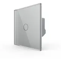 Livolo | Grijs | 1 | Dimmer | Smart Home - Bekijk hier!