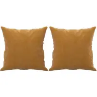 vidaXL Sierkussens 2 st 40x40 cm fluweel bruin