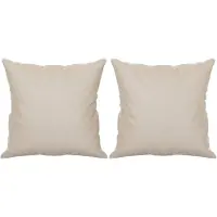 vidaXL Sierkussens 2 st 40x40 cm microvezelstof crèmekleurig