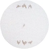 Clayre & Eef - keukendoek Ø 80 - natuur - katoen - rond - kip en ruit - CSC48N