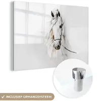 MuchoWow Glasschilderij 60x40 cm - Schilderij acrylglas - Paard - Waterverf - Dieren - Wit - Foto op glas - Schilderijen
