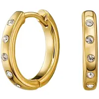Traveller Oorringen - Dames - Edelstaal - Goudkleurig - Kristal - Ringen ø 18 mm - Verguld - 166321