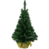 Kaemingk Kunstkerstboom | | 75 cm (Binnen)