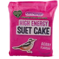 Unipet Vogelvoer Vetblok Berry - Vogelbad Kopen - - 10907