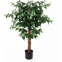 PT Living Kunstplant Fig Ficus