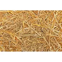 Eckhardt Stro 2,5 kilo (75 liter)