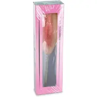Out of the blue - Vagina Lolly Met Smaak - Aardbei