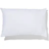 HEMA Kussen Binnenvulling 30x50 Gerecycled Polyester (wit)