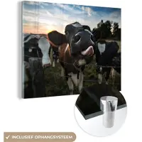 MuchoWow Glasschilderij 160x120 cm - Schilderij acrylglas - Koe - Dieren - Natuur - Uitstekende tong - Foto op glas - Schilderijen