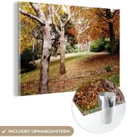 MuchoWow Glasschilderij 180x120 cm - Schilderij acrylglas - Herfst - Bomen - Bladeren - natuur - Foto op glas - Schilderijen