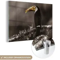 MuchoWow Glasschilderij 180x120 cm - Schilderij acrylglas - Vogel - Toekan - Goud - Zwart - Foto op glas - Schilderijen