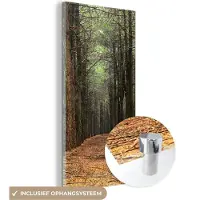 MuchoWow Glasschilderij 60x120 cm - Schilderij acrylglas - Herfst - Landelijke decoratie - Bos - Foto op glas - Schilderijen