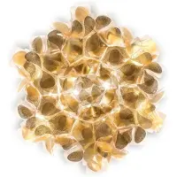 Slamp Clizia Mama Non Mama Plafond/Wandlamp Gold | Mini