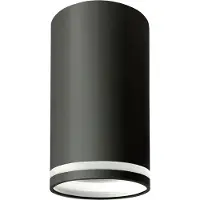 Spectrum - LED plafondspot CHLOE RING - 1x GU10 aansluiting - Mat zwart