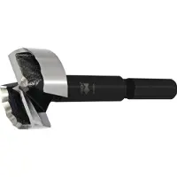 Fisch-Tools Houtboor | d. 32 mm totale lengte 90 mm | schacht-d. 10 mm | 1 stuk - 031703200 031703200