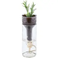 Esschert Design Fles bloempot met water reservoir Ø7,5x21cm (exclusief plant)