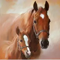 Ambiente 60x Wegwerp servetten paard met veulen 3-laags - Feestservetten