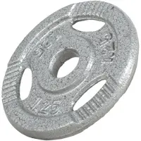 Gorilla Sports Halterschijf 1,25 kg Gripper Gietijzer Zilver - 30/31 mm