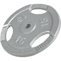 Gorilla Sports Halterschijf 15 kg Gripper Gietijzer Zilver - 30/31 mm