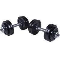 Gorilla Sports Dumbellset 30 kg gietijzer zwart