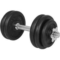 Gyronetics Gietijzeren Dumbell 15 kg (25 mm)