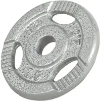 Gorilla Sports Halterschijf 2,5 kg gripper gietijzer zilver 30 mm