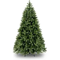 Molecule National Tree Company 31HPEBY75 Bayberry - 228 cm