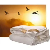 ISleep Gold Donzen 4-seizoenen dekbed - 100% Dons - Ganzendons - Litsjumeaux - 240x220 cm