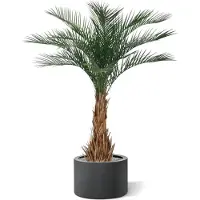 Maxifleur Kunstplanten Phoenix kunstpalm deluxe 180cm