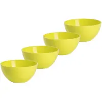 Forte Plastics Plasticforte kommetjes/schaaltjes - 4x - dessert/ontbijt - kunststof - D17 x H7 cm - groen - Kommetjes