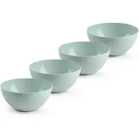 Forte Plastics Plasticforte kommetjes/schaaltjes - 4x - dessert/ontbijt - kunststof - D17 x H8 cm - mintgroen - Kommetjes