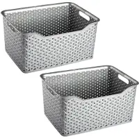 Forte Plastics Plasticforte opbergmand/kastmandje - 2x - 18 liter - zilver - kunststof - 29 x 39 x 19 cm - Opbergbox