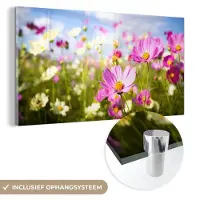 MuchoWow Glasschilderij 160x80 cm - Schilderij acrylglas - Bloemen - Wei - Paars - Gras - Wit - Wolken - Blauw - Foto op glas - Muurdecoratie woonkamer - Wanddecoratie slaapkamer - Schilderijen