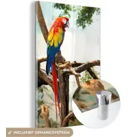 MuchoWow Glasschilderij 120x180 cm - Schilderij acrylglas - Papegaai - Vogel - Regenboog - Tropical - Foto op glas - Schilderijen