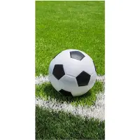 Sarcia.eu Voetbal Katoenen Handdoek 70x140 cm OEKO-TEX