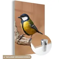 MuchoWow - Glasschilderij - Foto op glas - Koolmees - Vogel - Takken - 120x160 cm - Acrylglas - Glasschilderij natuur - Schilderij glas - Glasschilderij vogels - Woonkamer