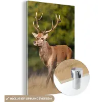 MuchoWow Glasschilderij - Hert - Natuur - Heide - Dieren - Landschap - Schilderij glas - Foto op glas - Acrylglas - 120x180 cm - Wanddecoratie - Muurdecoratie - Schilderijen woonkamer