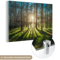 MuchoWow Glasschilderij - Foto op glas - Zon - Gras - Natuur - Schilderij glas - Muurdecoratie - Acrylglas - 180x120 cm - Glasschilderij binnen - Wanddecoratie