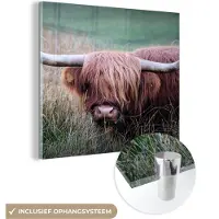 MuchoWow Glasschilderij 50x50 cm - Schilderij acrylglas - Schotse Hooglander - Hoorns - Gras - Foto op glas - Schilderijen
