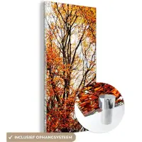 MuchoWow Glasschilderij 20x40 cm - Schilderij acrylglas - Bos - Herfst - Seizoenen - Foto op glas - Schilderijen