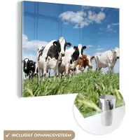 MuchoWow Glasschilderij dieren - Foto op glas - Koeien - Koe - Dieren - Natuur - Weiland - Wanddecoratie - Glasschilderij dieren - Schilderij glas - 160x120 cm - Acrylglas - Muurdecoratie